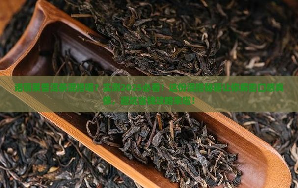 诺丽果和普洱茶能一起泡着喝吗