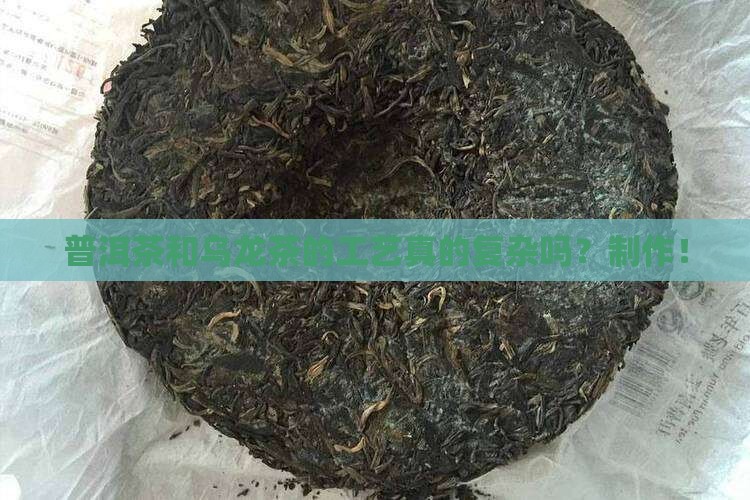 普洱茶和乌龙茶的工艺