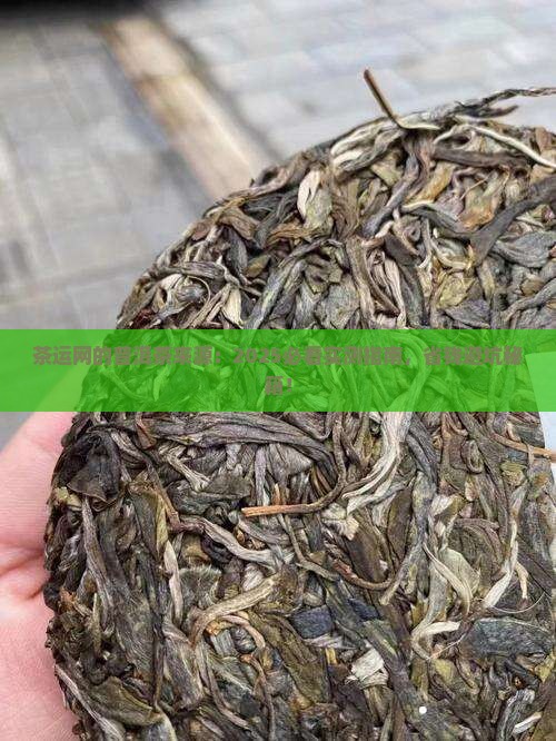 茶运网的普洱茶来源