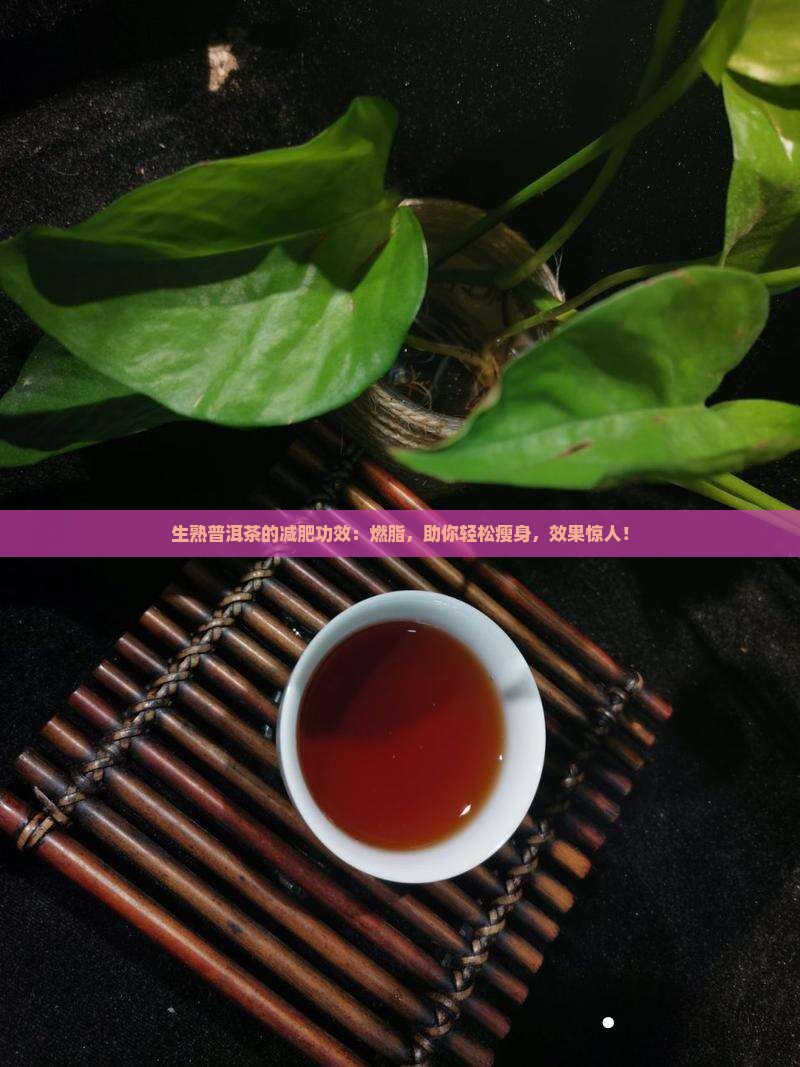 生熟普洱茶的减肥功效