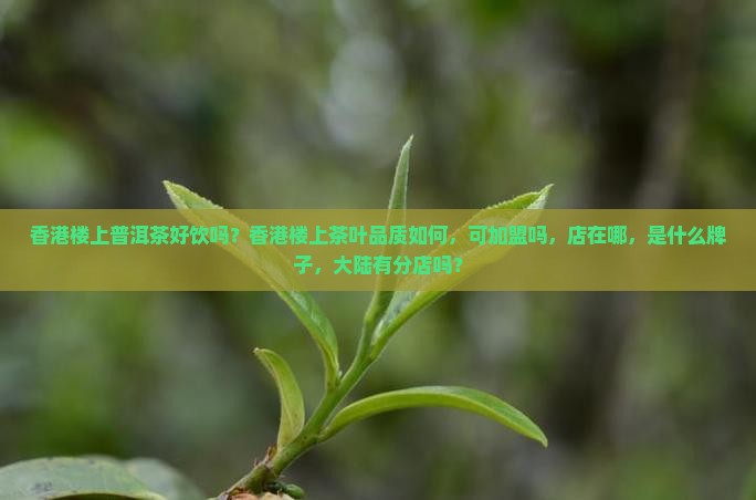 香港楼上普洱茶好饮吗