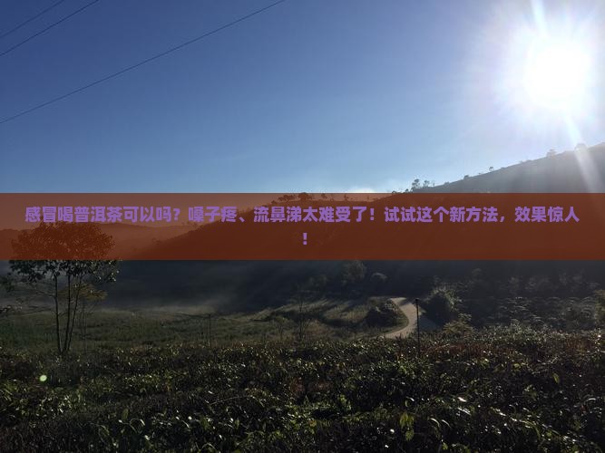 感冒喝普洱茶可以吗