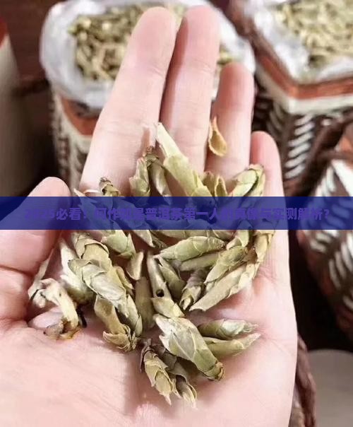 何作如是普洱茶第一人吗