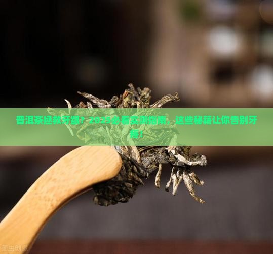 普洱茶对牙龈有好处吗