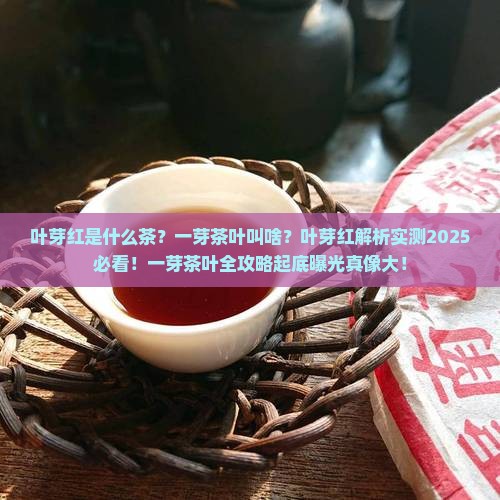 叶芽红是什么茶一芽茶叶叫啥