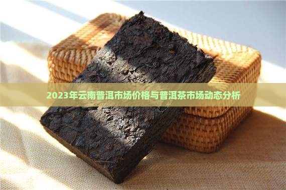 2023年云南普洱市场价格与普洱茶市场动态分析