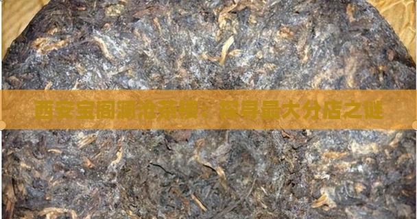 西安宝阁澜沧茶楼：探寻最大分店之谜