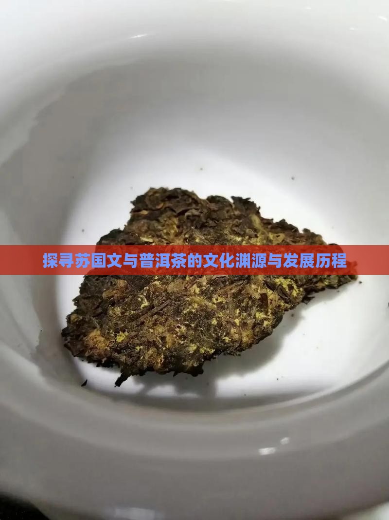 探寻苏国文与普洱茶的文化渊源与发展历程