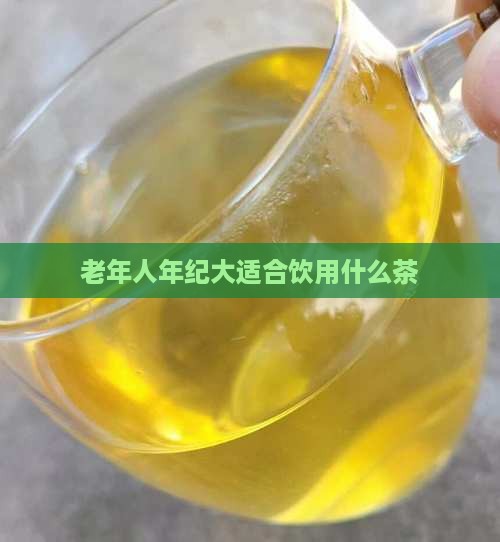 老年人年纪大适合饮用什么茶