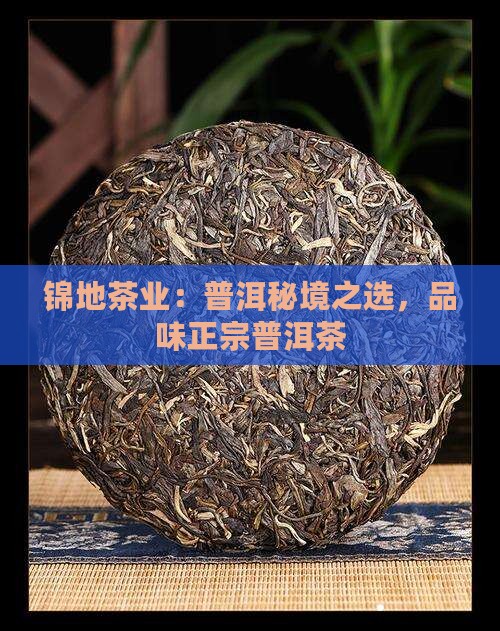 锦地茶业：普洱秘境之选，品味正宗普洱茶