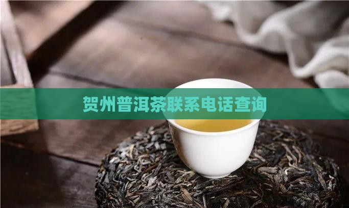 贺州普洱茶联系电话查询
