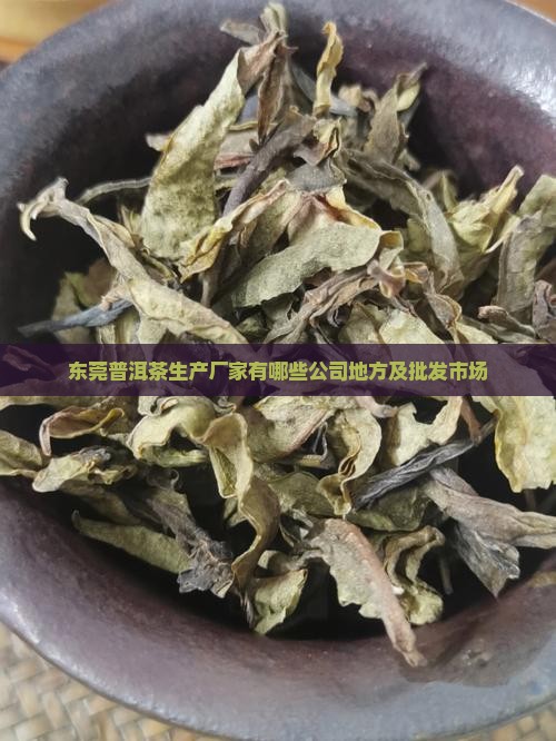 东莞普洱茶生产厂家有哪些公司地方及批发市场