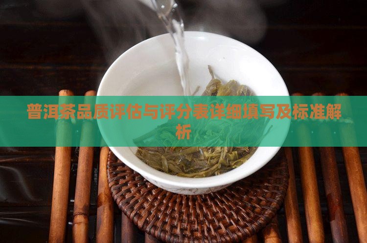 普洱茶品质评估与评分表详细填写及标准解析