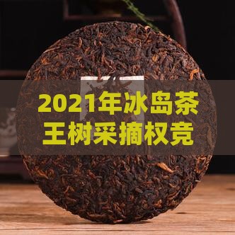 2021年冰岛茶王树采摘权竞拍结果揭晓