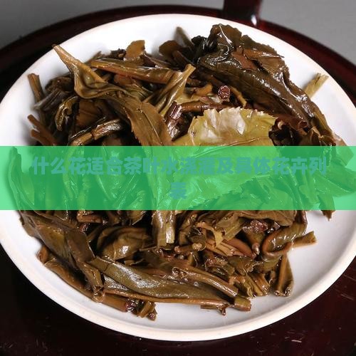 什么花适合茶叶水浇灌及具体花卉列表