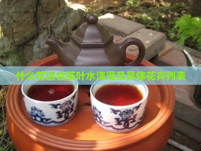 什么花适合茶叶水浇灌及具体花卉列表