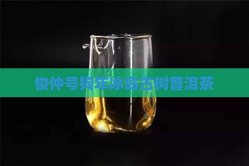 俊仲号狗年冰岛古树普洱茶