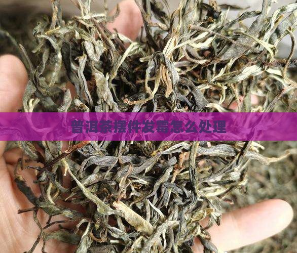 普洱茶摆件发霉怎么处理