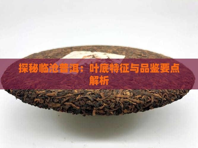 探秘临沧普洱：叶底特征与品鉴要点解析