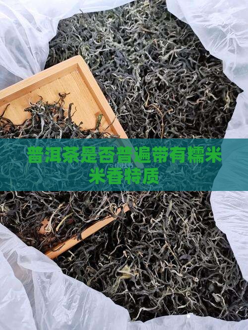 普洱茶是否普遍带有糯米米香特质