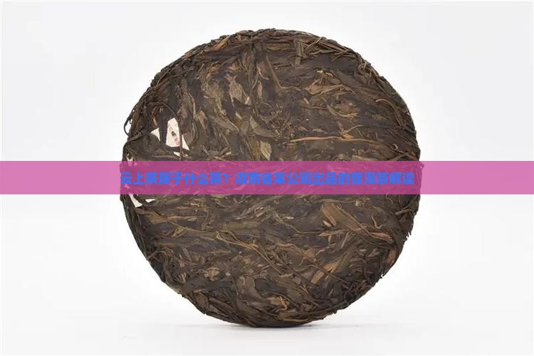 云上茶属于什么茶？湖南省某公司出品的普洱茶解读