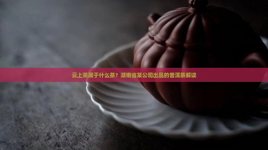 云上茶属于什么茶？湖南省某公司出品的普洱茶解读