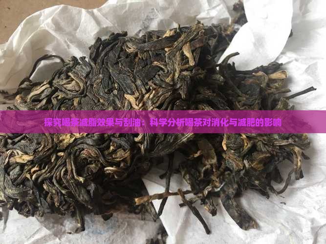 探究喝茶减脂效果与刮油：科学分析喝茶对消化与减肥的影响