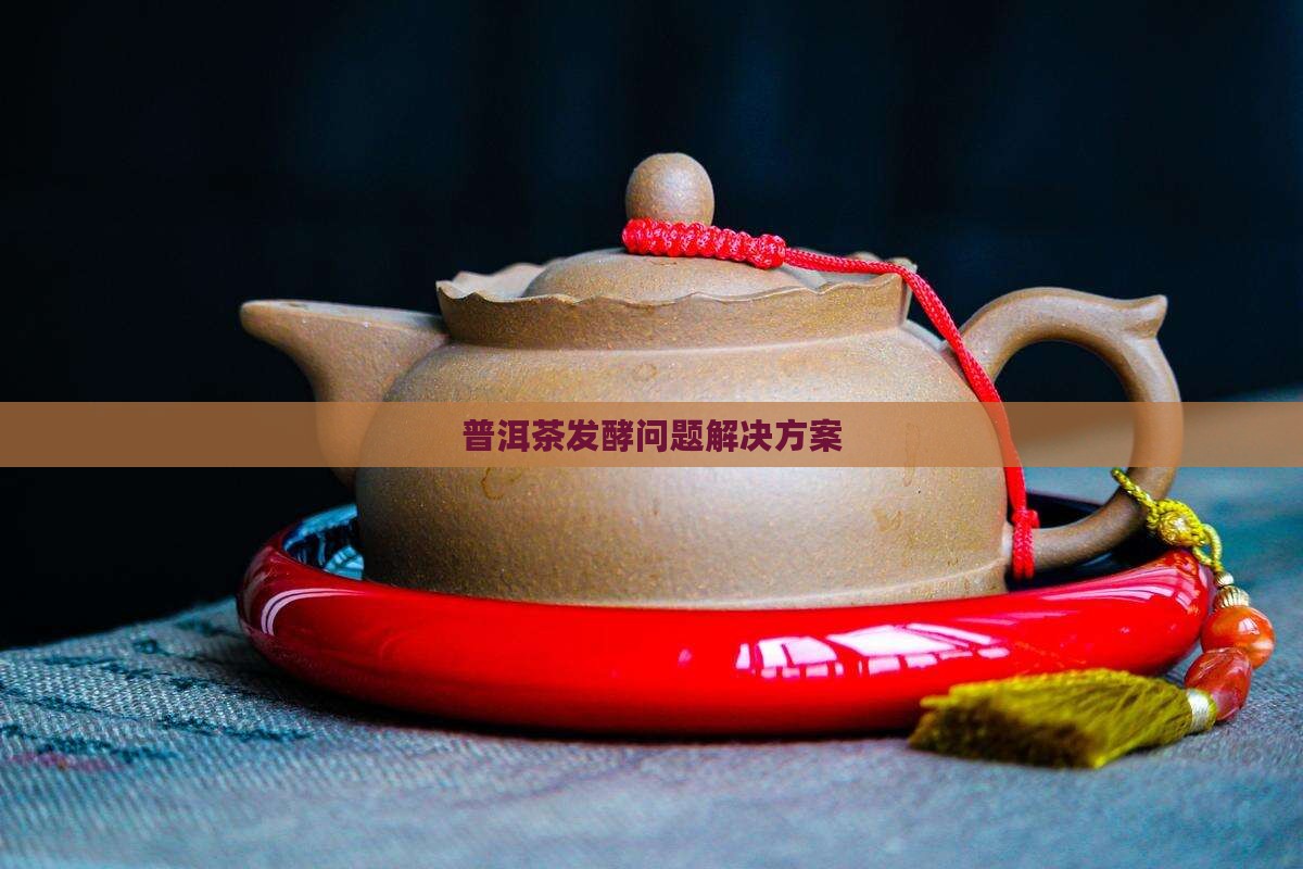 普洱茶发酵问题解决方案