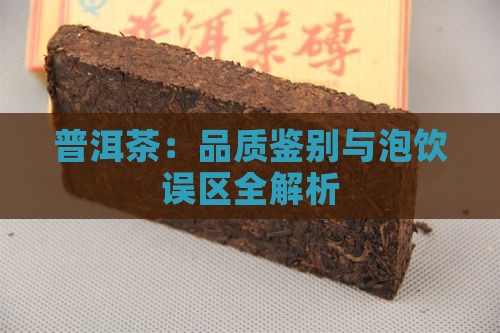普洱茶：品质鉴别与泡饮误区全解析