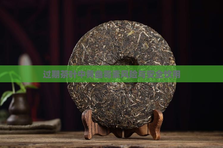 过期茶叶中黄曲霉素风险与安全饮用
