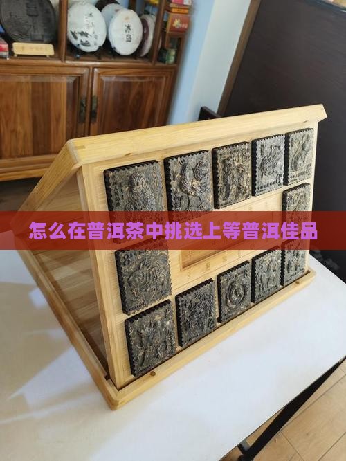 怎么在普洱茶中挑选上等普洱佳品