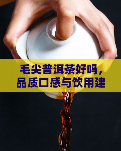 毛尖普洱茶好吗，品质口感与饮用建议探究