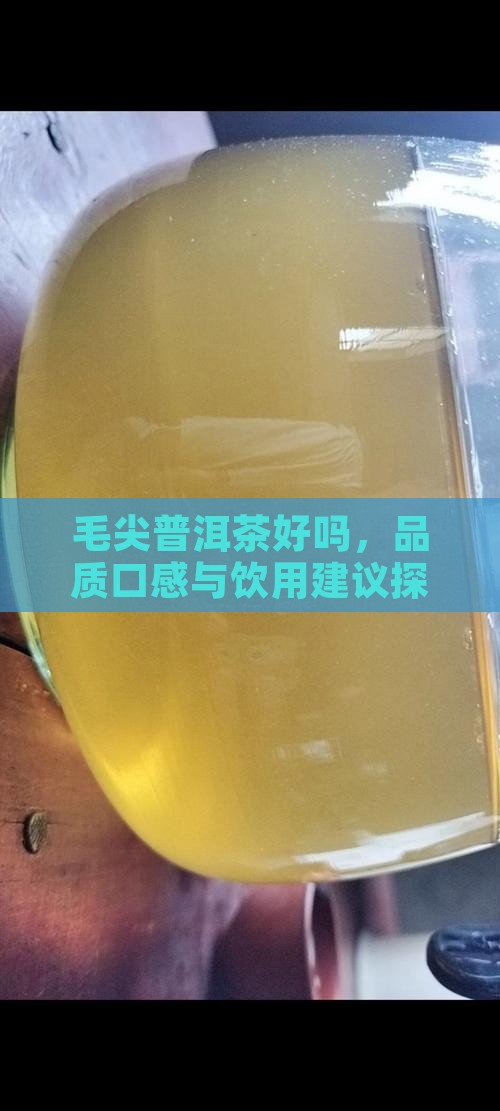 毛尖普洱茶好吗，品质口感与饮用建议探究