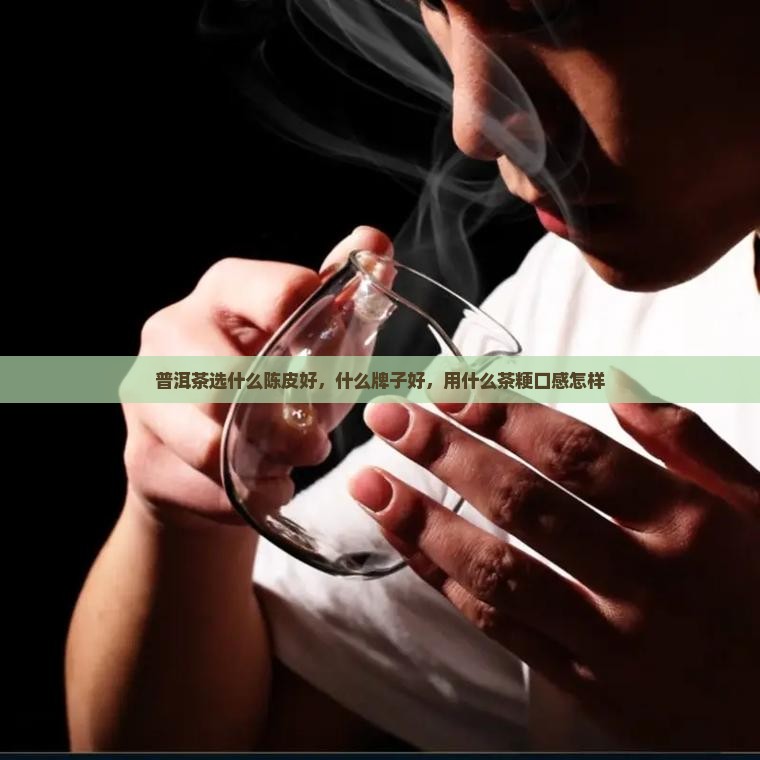 普洱茶选什么陈皮好，什么牌子好，用什么茶粳口感怎样