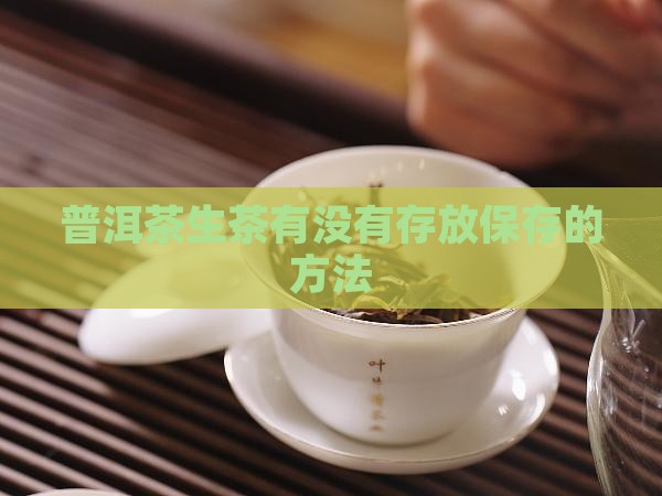 普洱茶生茶有没有存放保存的方法