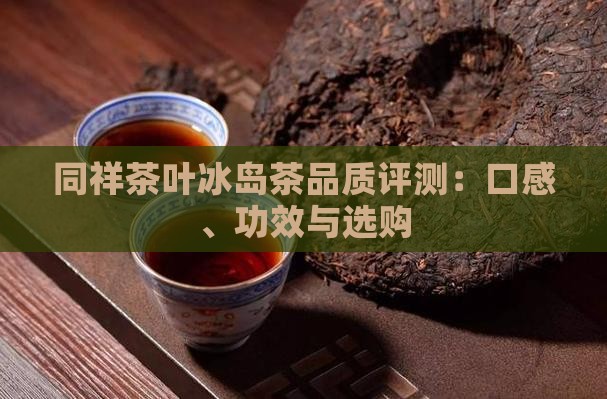同祥茶叶冰岛茶品质评测：口感、功效与选购