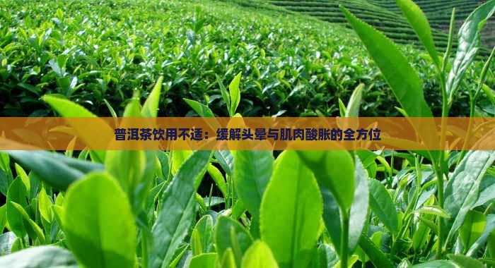 普洱茶饮用不适：缓解头晕与肌肉酸胀的全方位