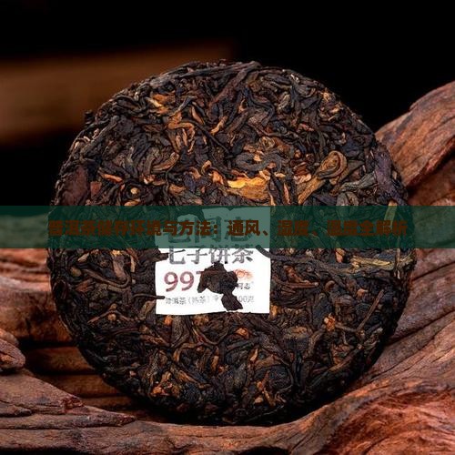 普洱茶储存环境与方法：通风、湿度、温度全解析