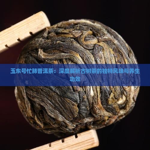 玉东号忙肺普洱茶：深度解析古树茶的独特风味与养生功效