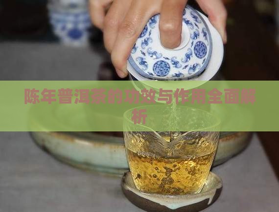 陈年普洱茶的功效与作用全面解析