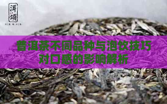 普洱茶不同品种与泡饮技巧对口感的影响解析