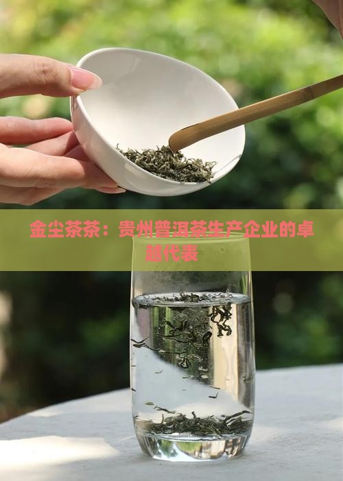 金尘茶茶：贵州普洱茶生产企业的卓越代表