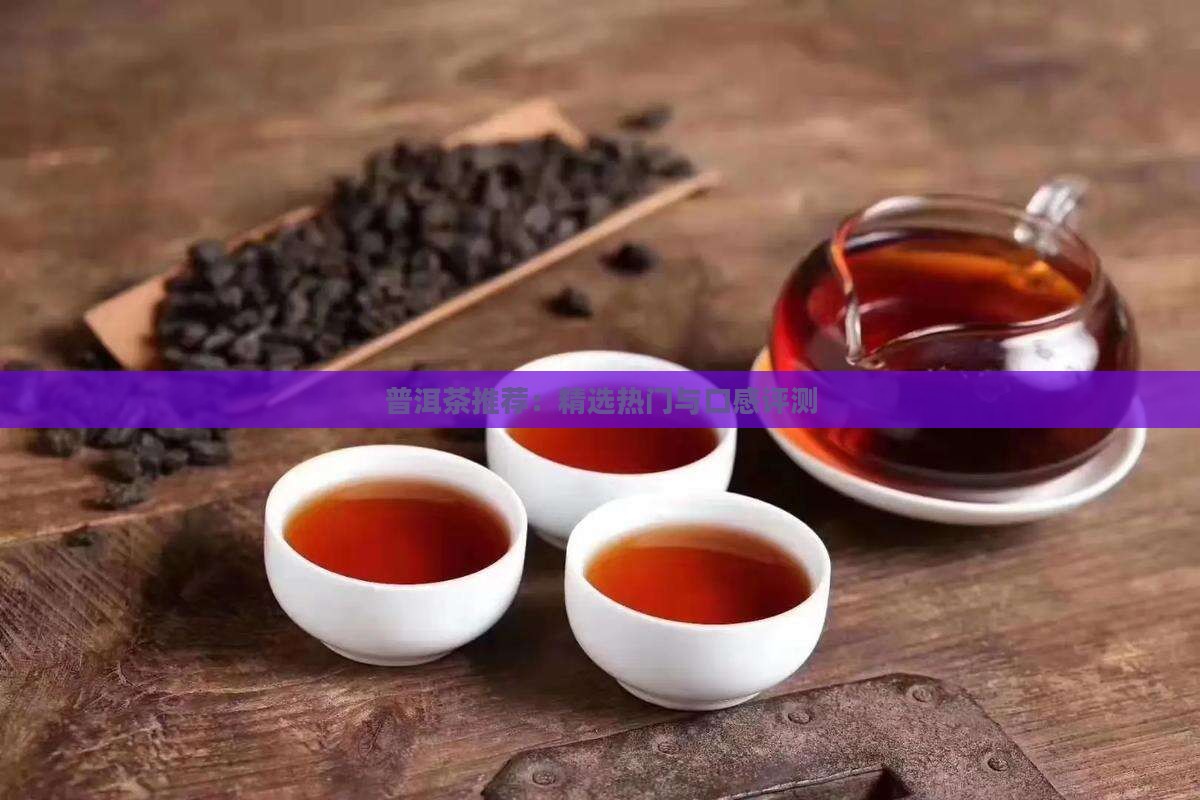 普洱茶推荐：精选热门与口感评测