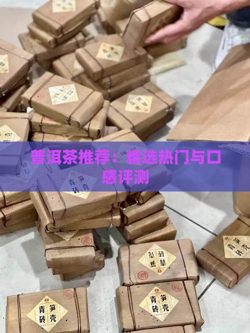 普洱茶推荐：精选热门与口感评测