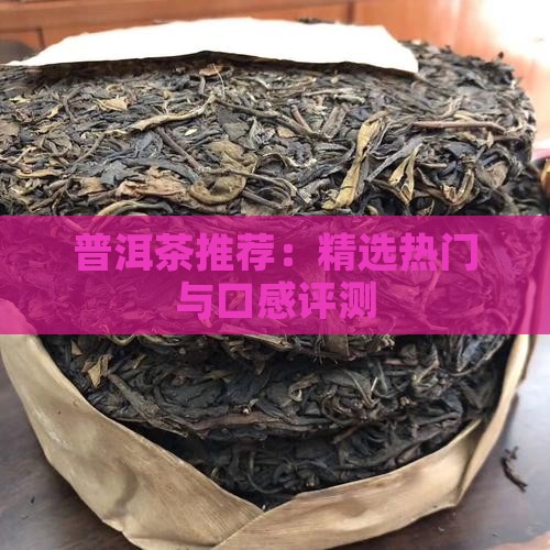 普洱茶推荐：精选热门与口感评测