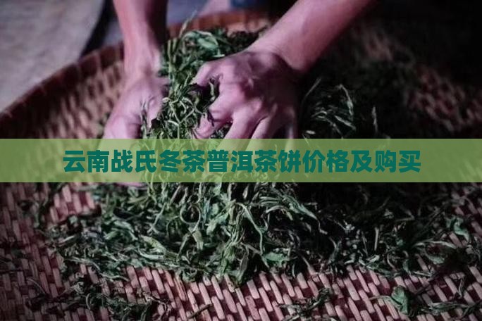 云南战氏冬茶普洱茶饼价格及购买