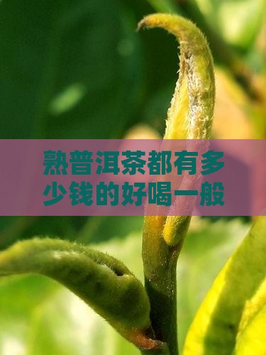 熟普洱茶都有多少钱的好喝一般多少钱