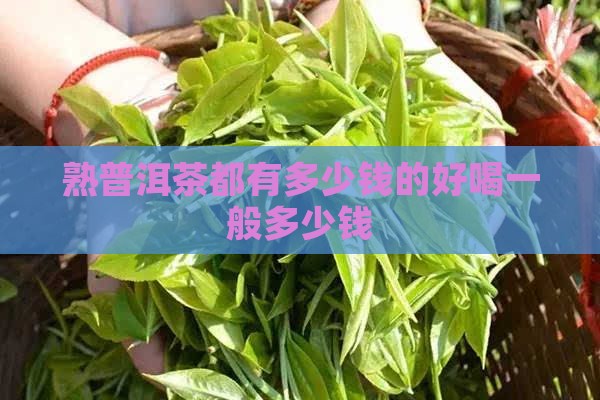 熟普洱茶都有多少钱的好喝一般多少钱
