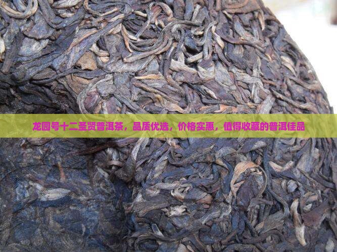龙园号十二圣贤普洱茶，品质优选，价格实惠，值得收藏的普洱佳品