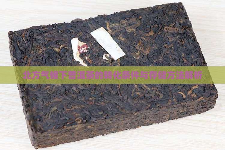 北方气候下普洱茶的转化条件与存储方法解析